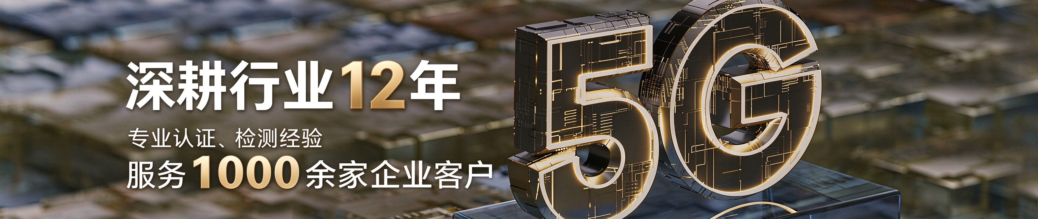 5G